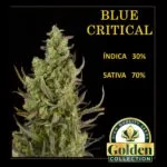 Blue Critical