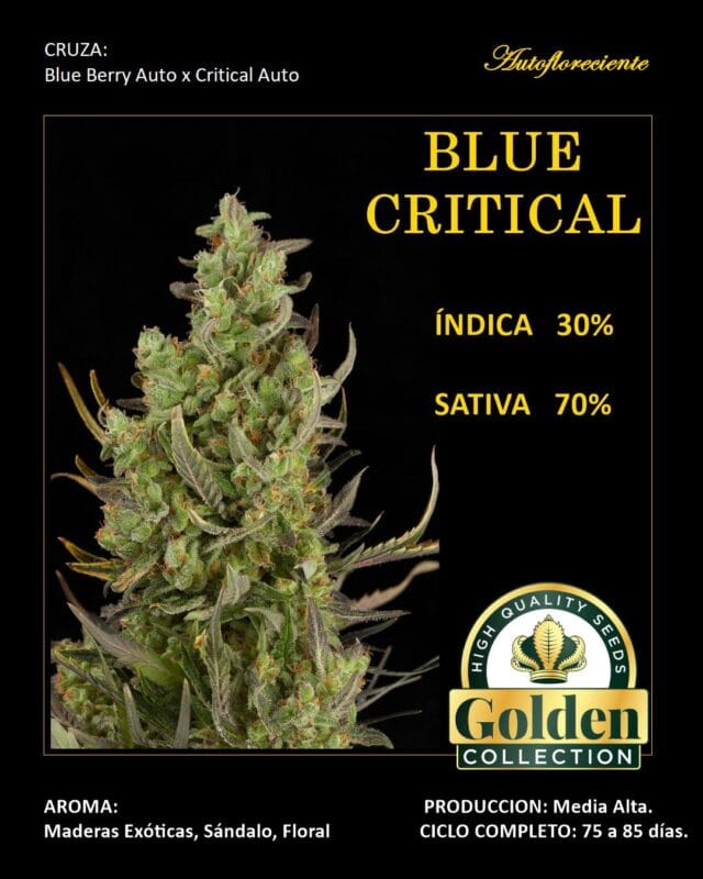 Blue Critical