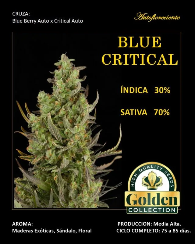Blue Critical