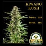 Kiwano Kush