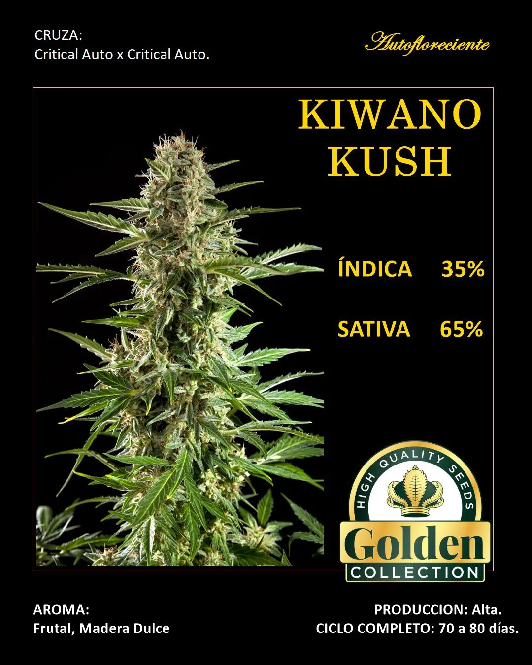 Kiwano Kush Kiwano Kush