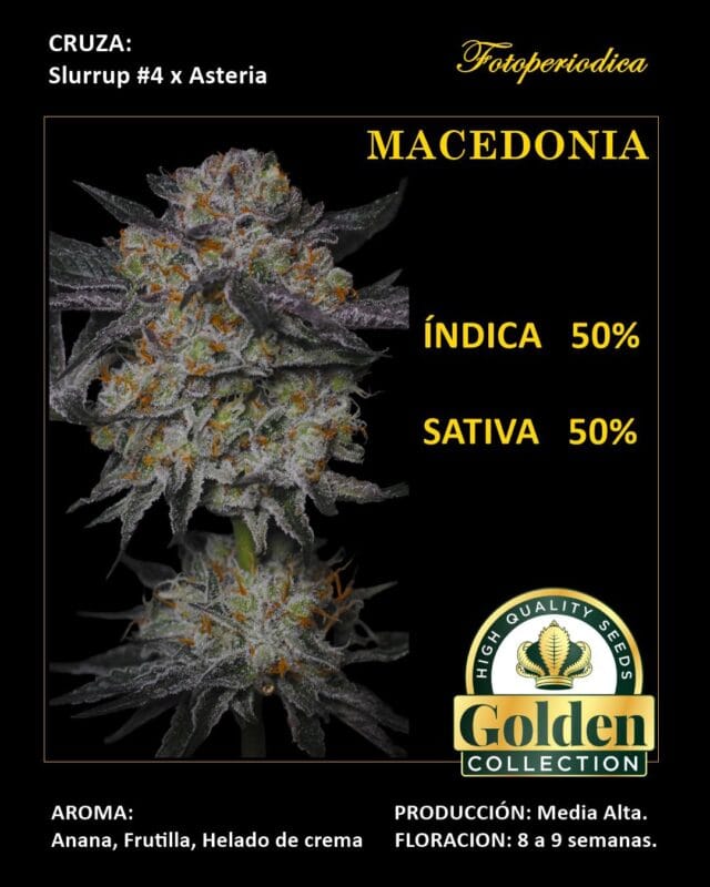 Macedonia