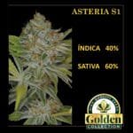 Asteria S1