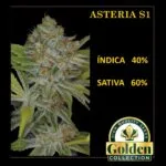 Asteria S1
