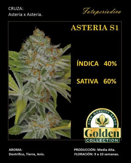 Asteria S1