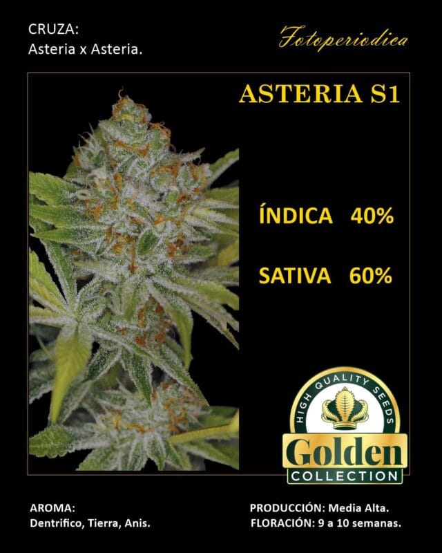 Asteria S1