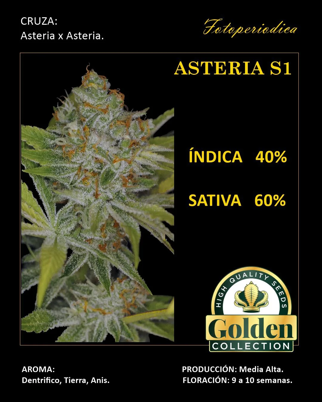 Asteria S1 Asteria S1