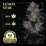 Lemon Star