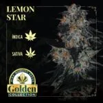 Lemon Star
