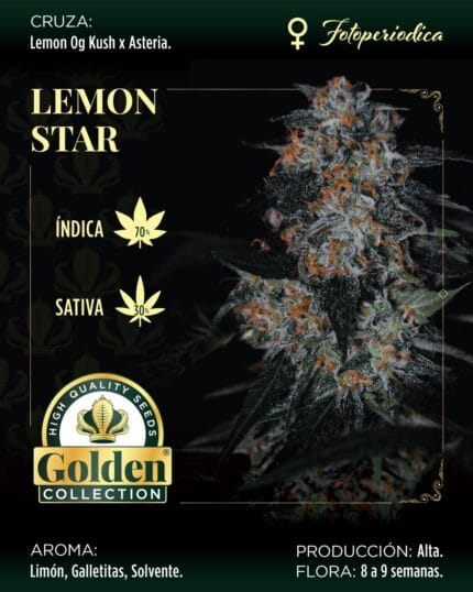 Lemon Star