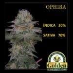 Ophira