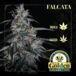Falcata