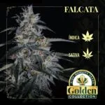 Falcata