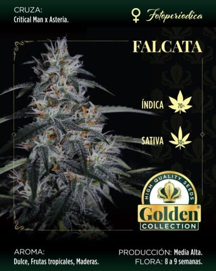 Falcata