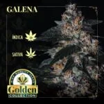 Galena